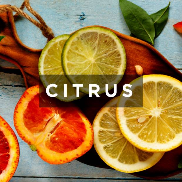 Burnac Produce Limited The Future of Produce